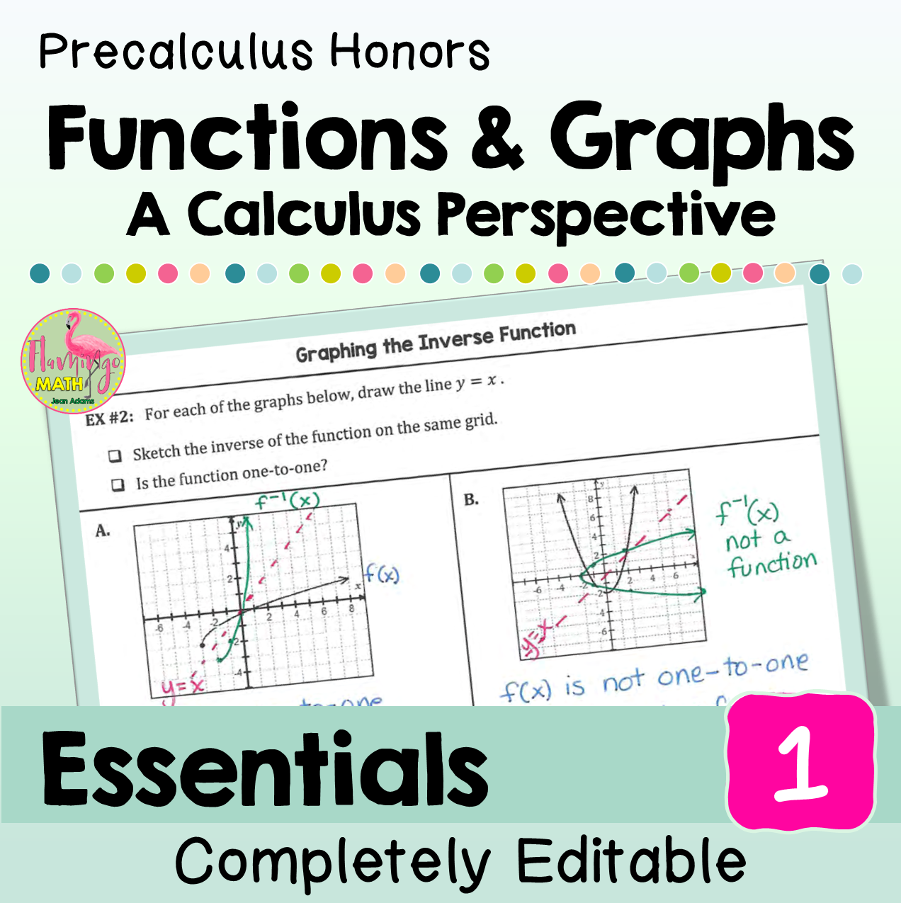 Functions and Graphs Essentials Bundle (Precalculus) - Flamingo Math ...