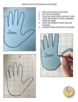 AP Calculus Limit of the Hand Activity Unit 1 - Image 3
